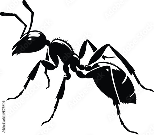 ant art drawing printable silhouettes vector design transparent background photo