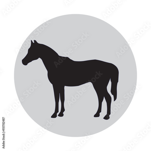 silhouette of a horse