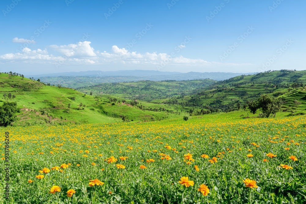 scenic Ethiopian landscape with lush green hills and a blooming Meskel flower field, symbolizing renewal and hope for the new year, with a clear blue sky above scenic Ethiopian landscape with lush green hills and a blooming Meskel flower field, symbolizing renewal and hope for the new year, with a clear blue sky above