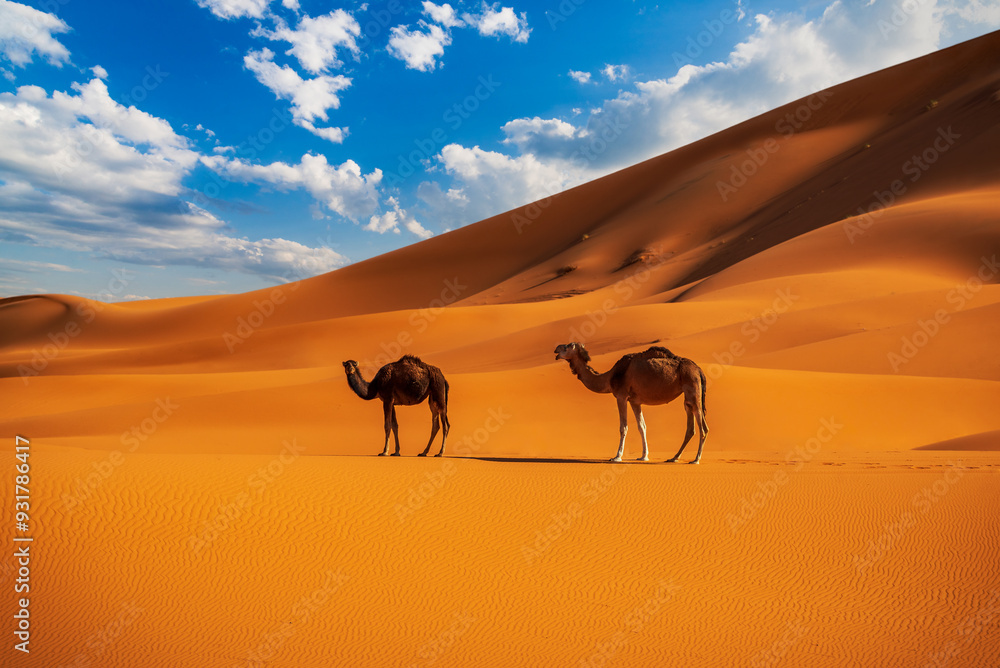 Merzouga, Morocco. Sand dunes in the Sahara Desert, North Africa - Erg Chebbi dunes.