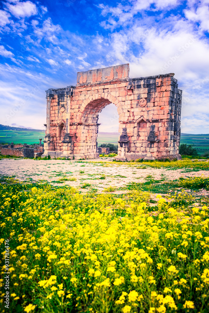 Volubilis, Morocco. Ancient city, Roman Empire province of Mauretania.