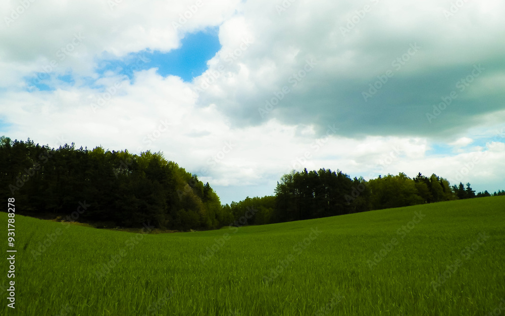 Green fields in Kashubia region - Northern Poland. Green fields in Kashubia region - Northern Poland.