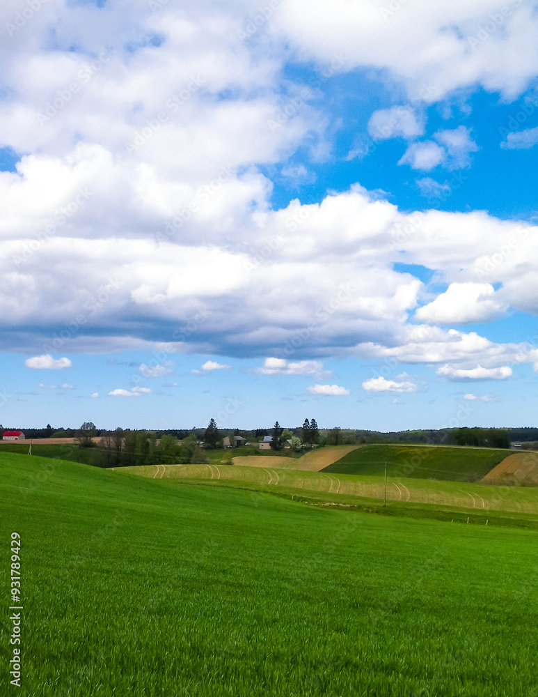 Green fields in Kashubia region - Northern Poland. Green fields in Kashubia region - Northern Poland.