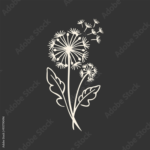 Dandelion flower. Floral silhouette. Vector illustration