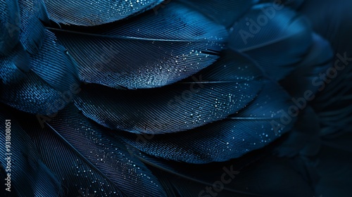 Blue texture abstract on black background bird feather : Generative AI photo