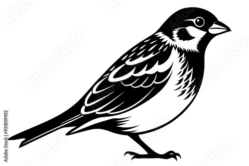 Sparrow silhouette vector illustration