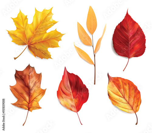 Realistic autumn leaves set isolated background, vector realistic, autumn illustration, hello autumn vector	
