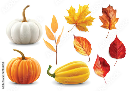 Realistic autumn leaves and pumpkins set isolated background, vector realistic, autumn illustration, hello autumn vector	