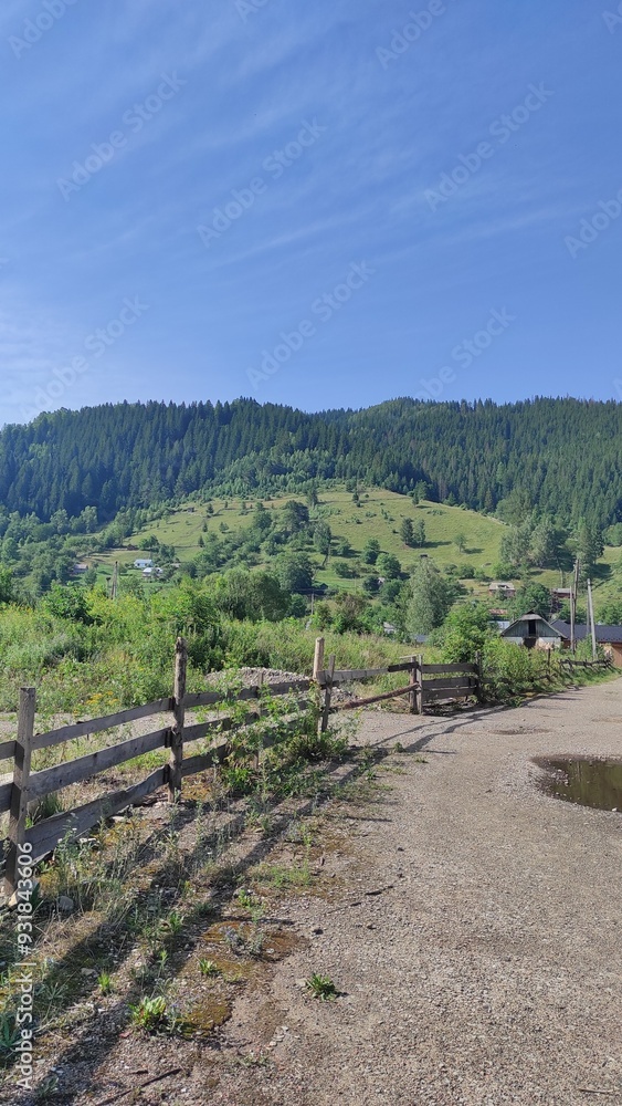 Obraz premium mountains in summer, carpathians, beautiful view of mountains and houses in mountains, countryside