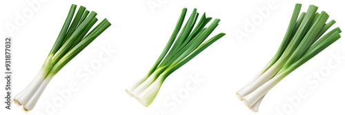 A leek clipart vegetable element 3D illustration green and white isolated on white and transparent background
