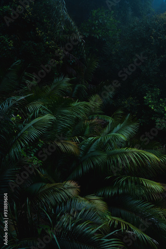 A deep evergreen rainforest, jungle, foliage, tropical wild forest, greenery canopy view, a top view or close up of tree in penang hill, concept of ecology, Earth day, biodiversity, mystery background