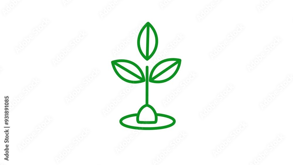 Animated eco plant eco growing icon. Animation of plants icon. Icon of tree sprout. Symbol is drawn gradually. Concept of organic food, ecology, agronomy, harvest. Animated eco plant eco growing icon. Animation of plants icon. Icon of tree sprout. Symbol is drawn gradually. Concept of organic food, ecology, agronomy, harvest.