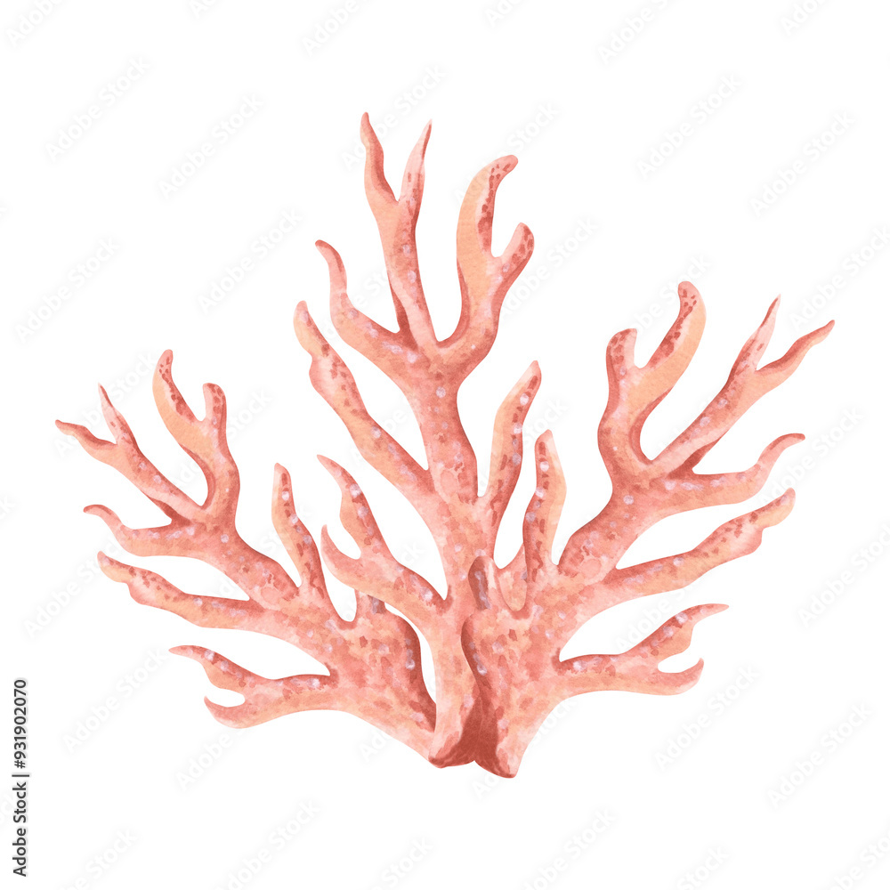 Obraz premium Underwater pink coral. Hand drawn watercolor illustration isolated of background. Oceanic reef animals, seaweed. Marine tropical theme. Exotic nautical design. Clipart for postcard, printing, sticker.
