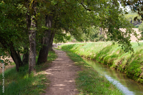 Sendero arbolado junto a la Séquia, un canal medieval del siglo XIV, en Manresa, Catalunya, España, durante la primavera. photo