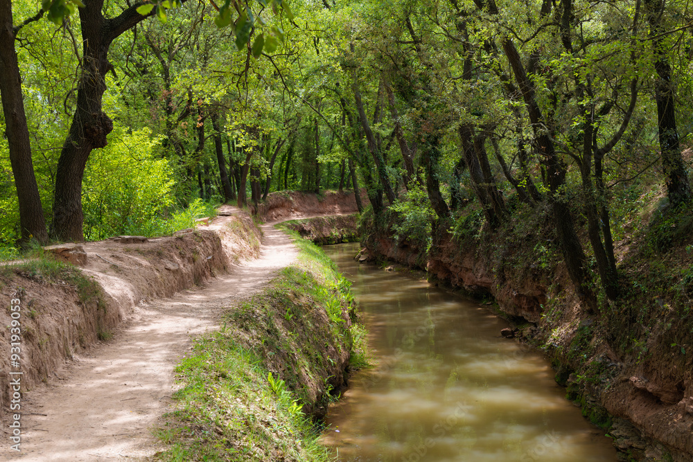Obraz premium Sendero serpenteante junto a la Séquia, un canal medieval del siglo XIV, en Manresa, Catalunya, España, durante la primavera. El camino de tierra sigue el curso del canal.