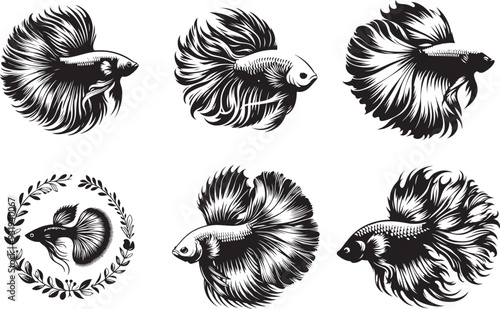 Betta fish or Siamese fighter fish side view in simple hand drawn line art style.