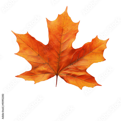 Wallpaper Mural A single vibrant orange maple leaf on a white background, symbolizing the beauty and simplicity of autumn. Torontodigital.ca
