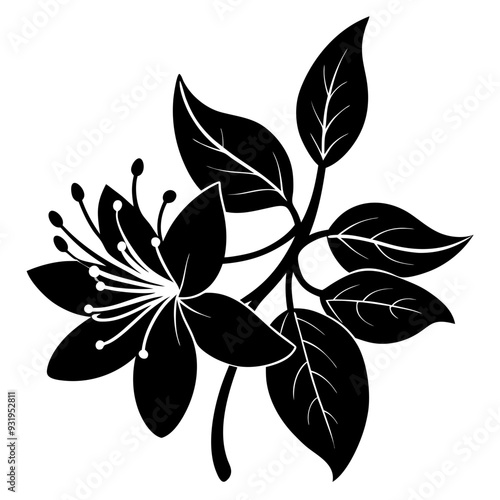 Honeysuckle illustration, Black silhouette