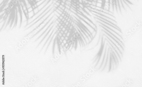 Grey shadow of natural palm leaf abstract background falling on white wall texture for background and wallpaper. Tropical palm leaves foliage shadow overlay effect, foliage mockup and design