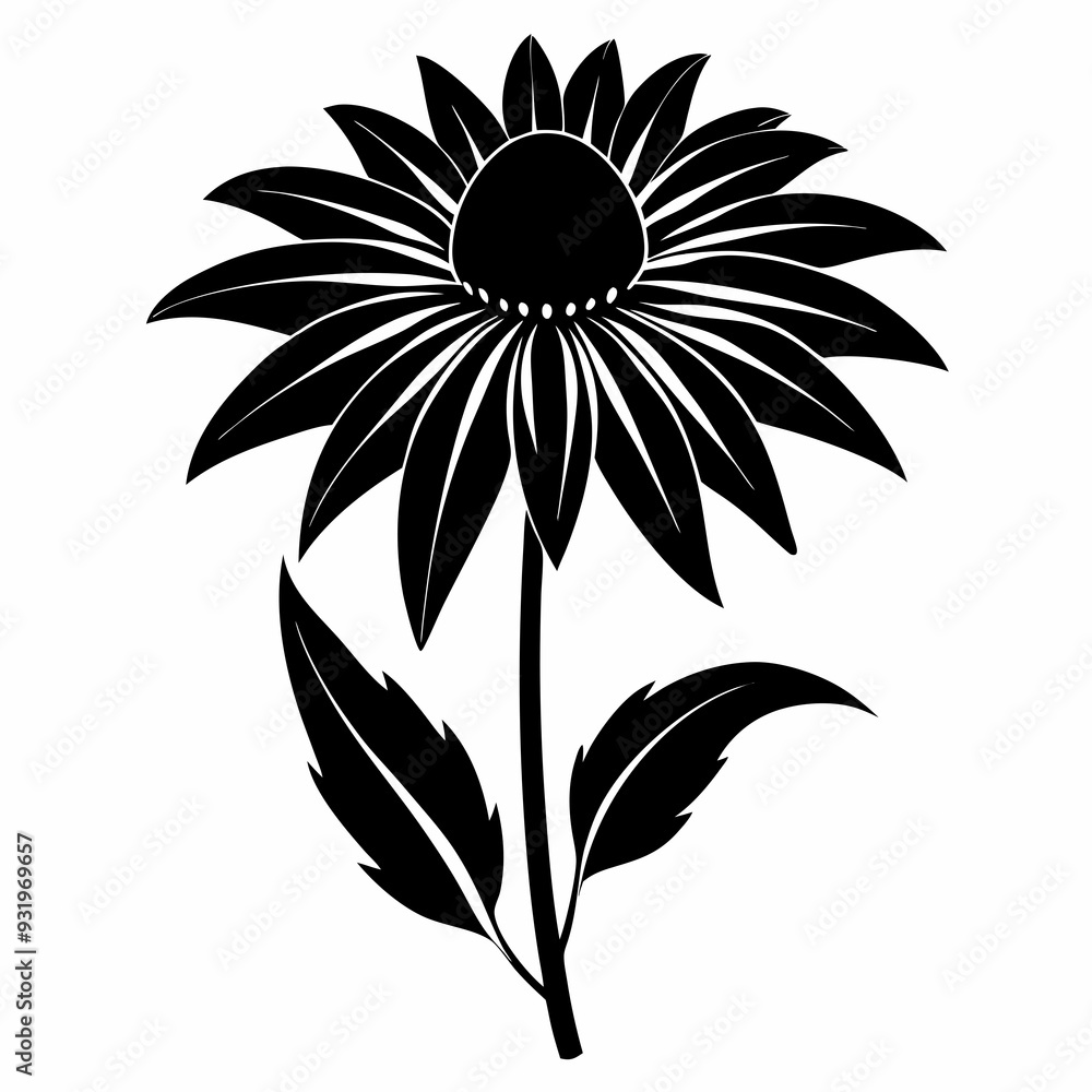 Coneflower Black silhouette Coneflower Black silhouette