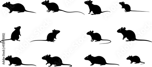 Set de silhouettes rat ou souris pour conception, vecteur noir fond transparent