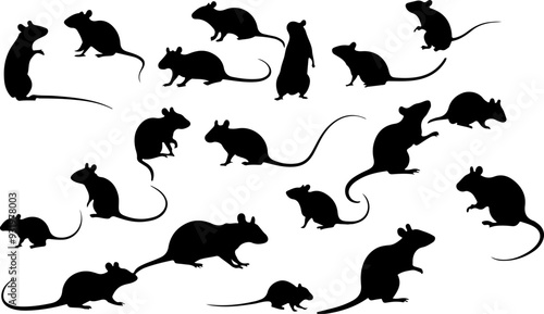 Set de souris - rats en silhouette, isolé, noir sur fond blanc
