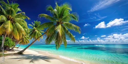 Tropical Caribbean beach with palm trees and turquoise water