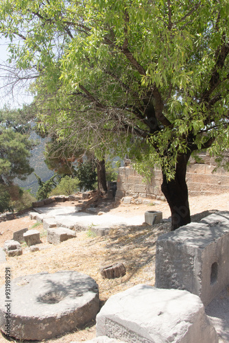 Delphi photo