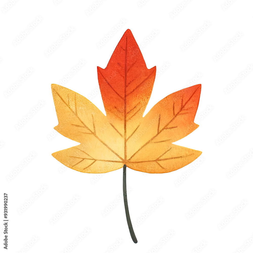 Naklejka premium autumn maple leaf
