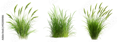 Lush Green Grass Tuft Collection: Vibrant Blades Isolated on Transparent Background