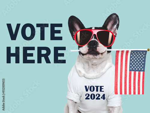 VOTE HERE. US Elections. 2024 Presidential Election. Adorable puppy and American Flag. Close-up, indoors. Studio shot. Pet care concept. Beautiful Election day invitation card, isolated background photo