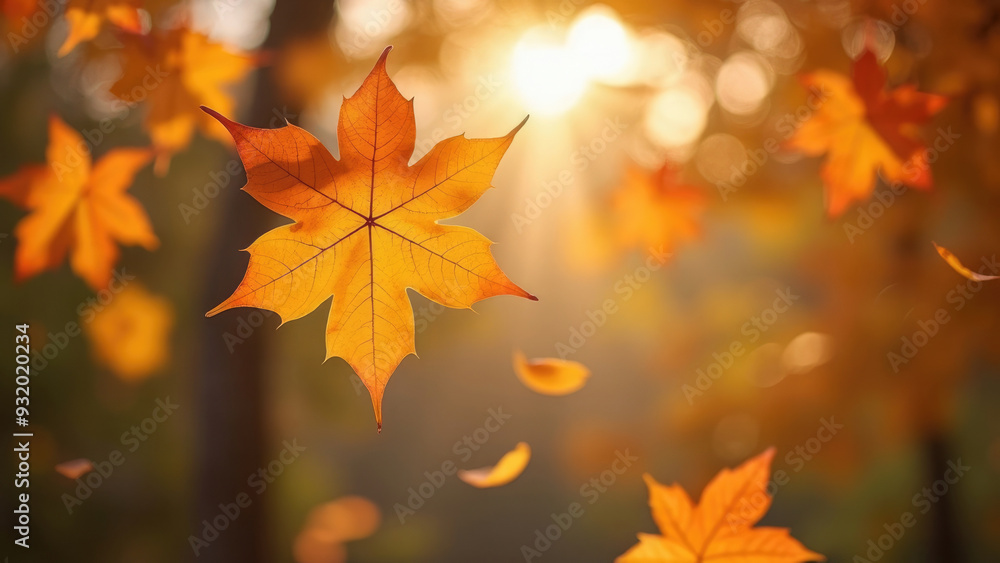A single autumn leaf suspended in the air with sunlight streaming through, symbolizing the natural cycle of life, change, and the beauty found in the simplicity of autumn. A single autumn leaf suspended in the air with sunlight streaming through, symbolizing the natural cycle of life, change, and the beauty found in the simplicity of autumn.