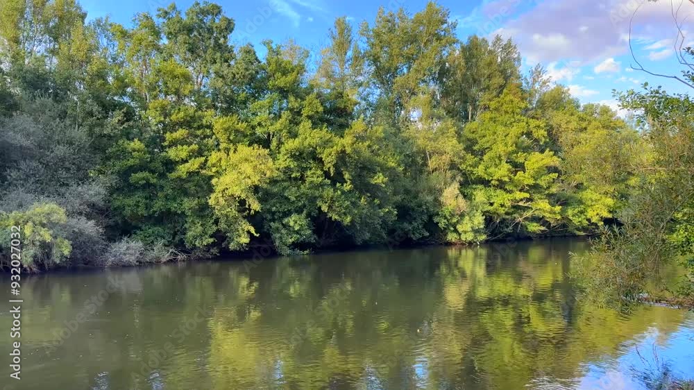 River of calm waters with the afternoon sun River of calm waters with the afternoon sun
