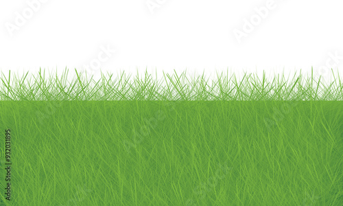 green grass texture background, green grass background, green grass texture background