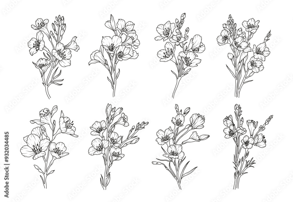 Set of freesia flower line art. Floral logo hand drawn sketch. Wild bouquet abstract elegant spring leaves. Black vintage botanical floral branch. Vector illustration in outline style Set of freesia flower line art. Floral logo hand drawn sketch. Wild bouquet abstract elegant spring leaves. Black vintage botanical floral branch. Vector illustration in outline style