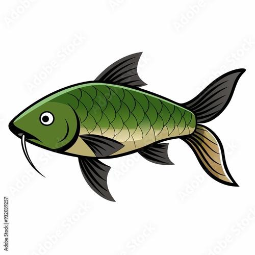 Detailed view of a grass carp fish isolated on a white background for educational and culinary use