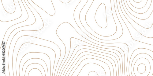 Abstract wave paper curved reliefs background .gradient multicolor wave curve lines banner background design .topographic contours map background .Vector geographic contour map.	