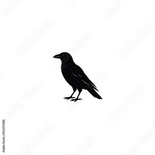 crow on a branch