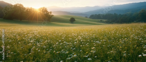 Picturesque meadow dotted with wildflowers and rolling hills bathed in soft morning light capturing the serene beauty of nature's landscapes