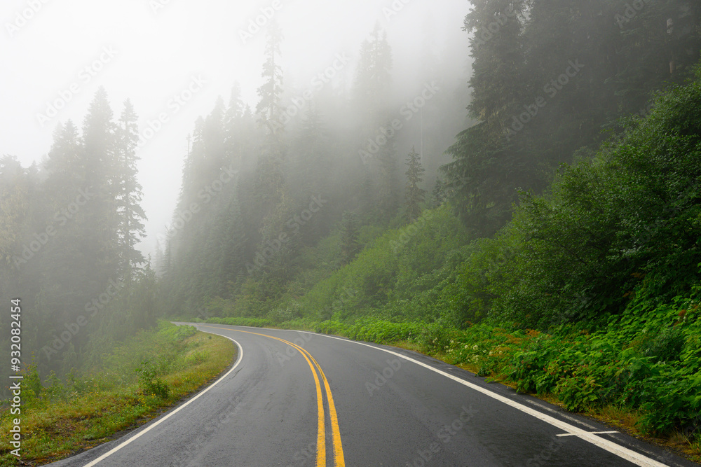 Fototapeta premium Two lane road curves towards misty trees past lush green vegetation