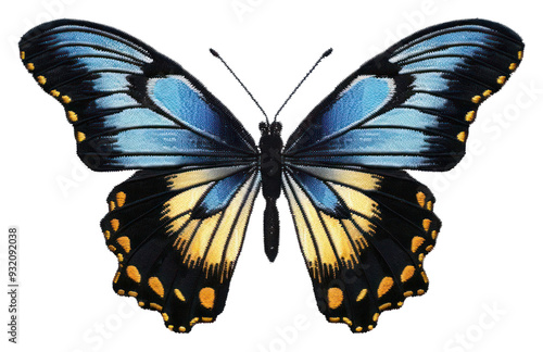 PNG Butterfly animal insect invertebrate. photo