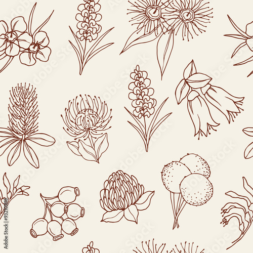 Line art Australian native flowers background