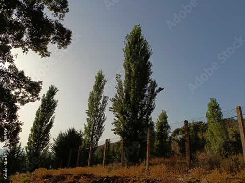 Ben Smim, Morocco - August 06, 2024: Whenever you find yourself in Ifrane, do not forget to visit Beni Samim to calm yourself with the beauty of the picturesque nature and running water photo