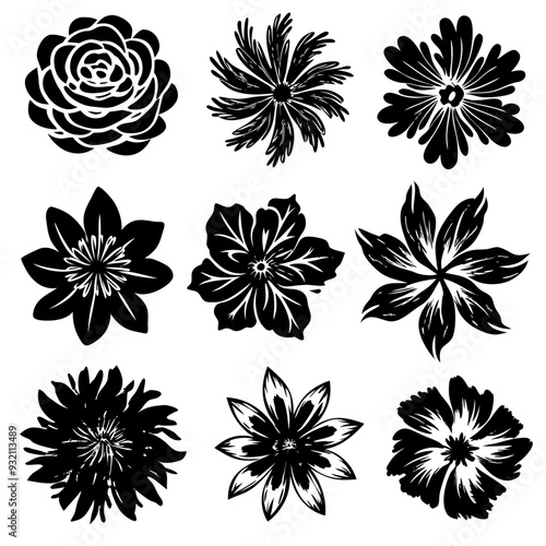 A beautiful set of black and white flowers displayed on a white background