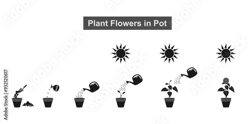 plant growth stages in a pot set. how to plant flower from seeds to sprout and bloom. vector illustration isolated on white background.