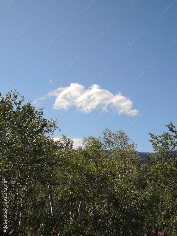 Obraz premium clouds and trees