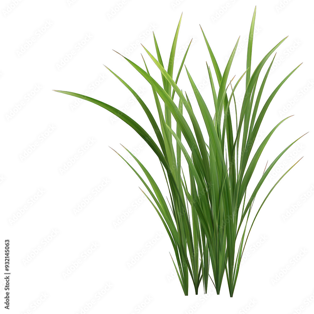 Lush green grass with vibrant blades, perfect for enhancing designs related to nature, gardening, or outdoor themes. transparent background Lush green grass with vibrant blades, perfect for enhancing designs related to nature, gardening, or outdoor themes. transparent background