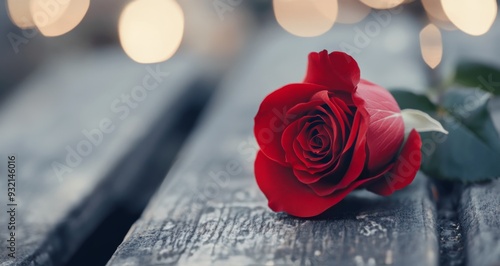 A red rose resting on a wooden bench at sunset in a peaceful outdoor setting