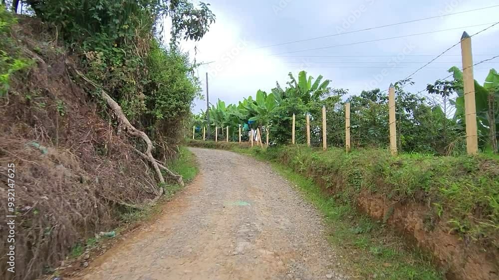 Rural road to the coffee mountains of Colombia Rural road to the coffee mountains of Colombia