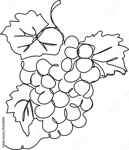 One Line Art Grapes, Black and White Vector Grapes	